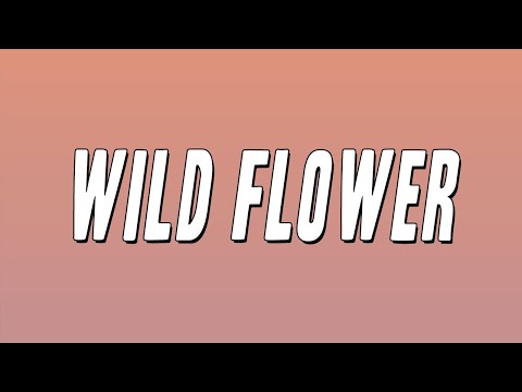 The New Birth - Wild Flower (Lyrics)