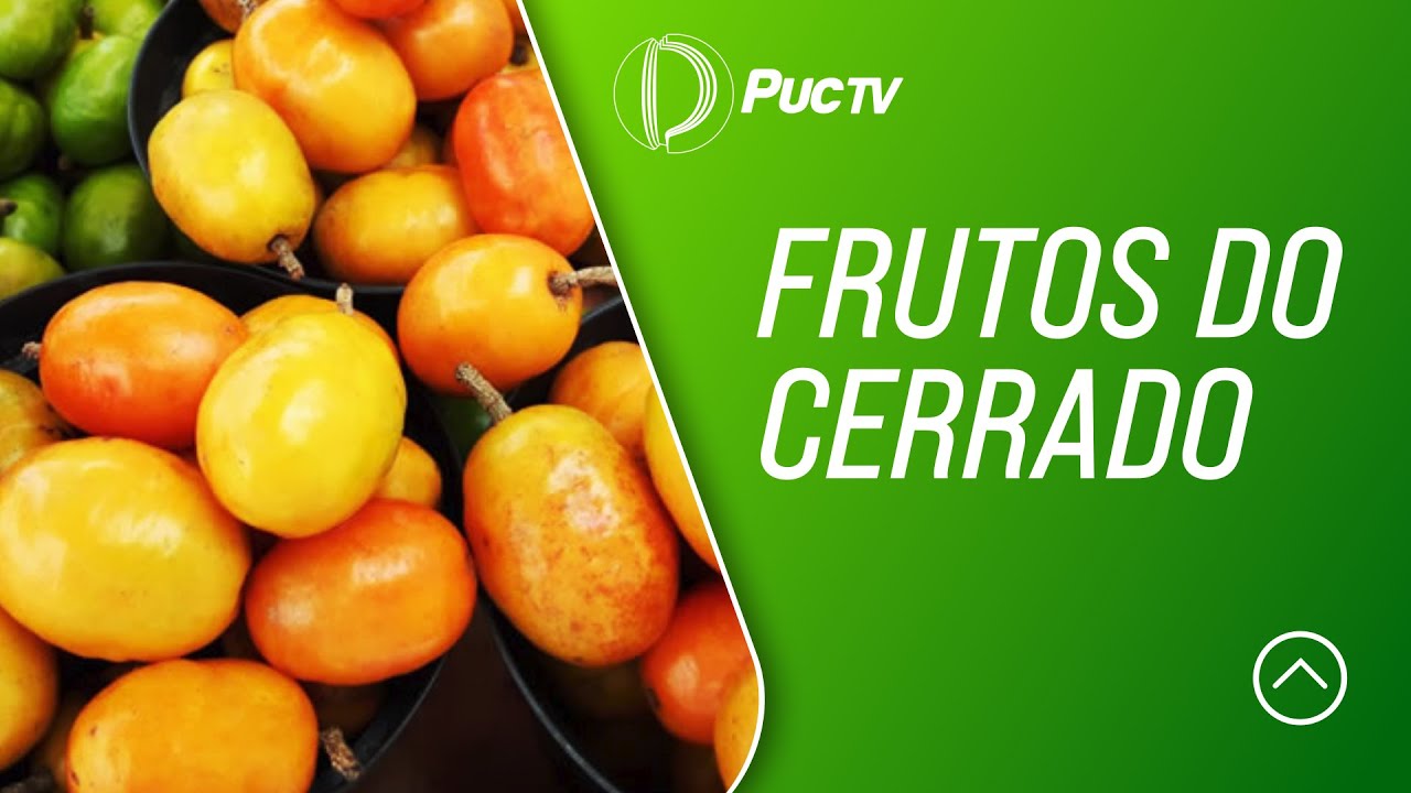 FRUTOS DO CERRADO
