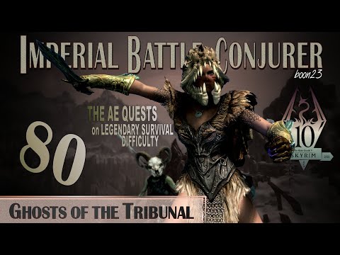 Imperial Battle Conjurer (80) - GHOSTS OF THE TRIBUNAL - Skyrim AE Legendary Survival