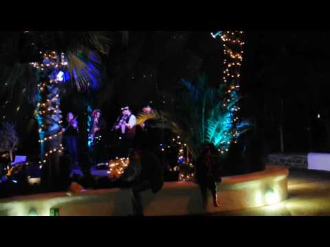 Cornish Music and Dance by Dalla at the Eden Project (1 of 4)