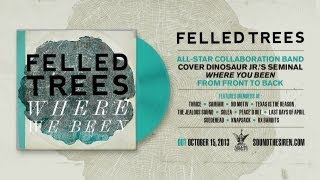 Felled Trees - I Ain't Sayin feat. Blair Sheehan (Knapsack, The Jealous Sound) (Dinosaur Jr.)