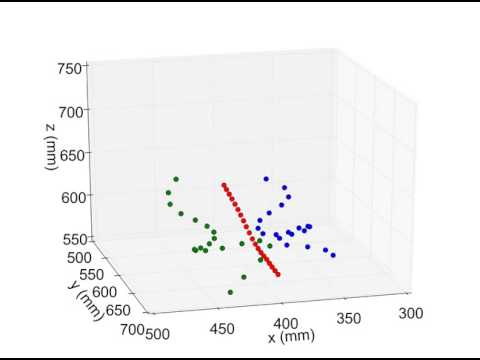 3D Trajectory & wing motions of a Monarch butterfly