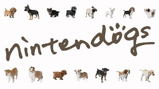 Cover art for Meet an Angry Dog - Nintendogs