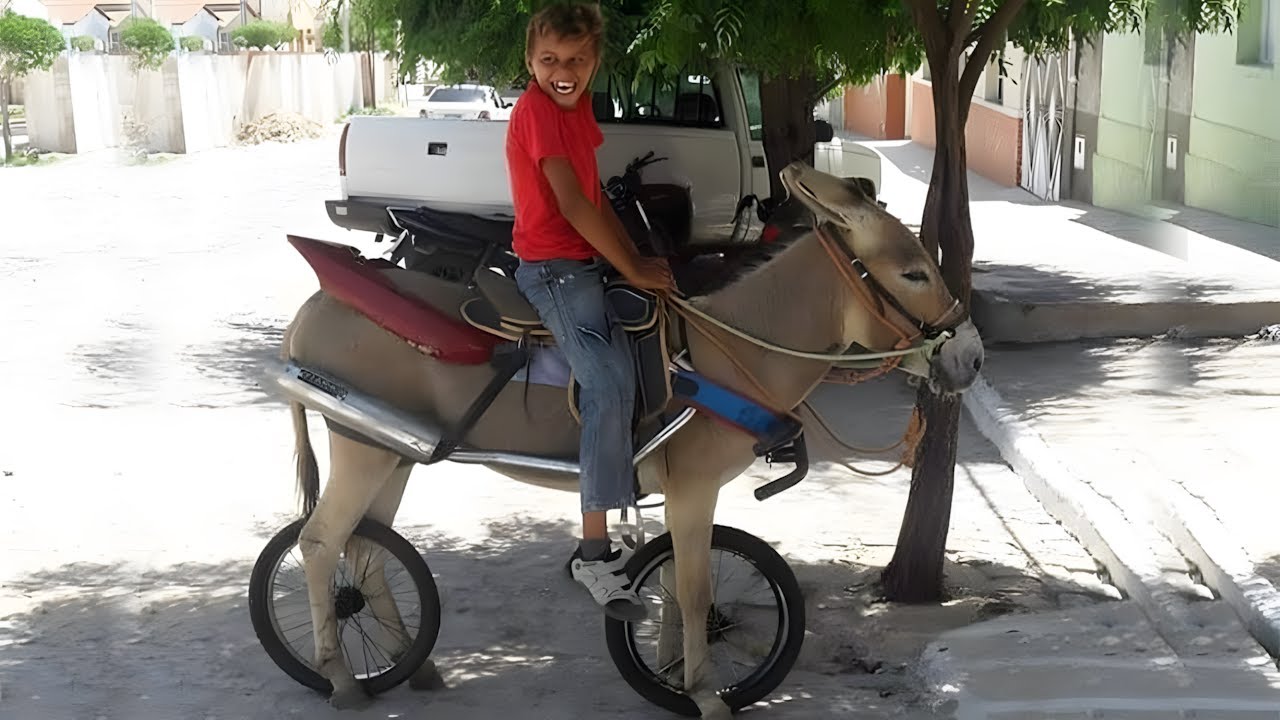 Gambiarras da Roça 💡  Chama a NASA ▪ Parte 02