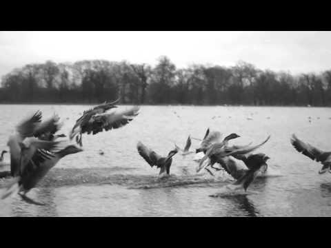 Brian Eno - Emerald and Stone