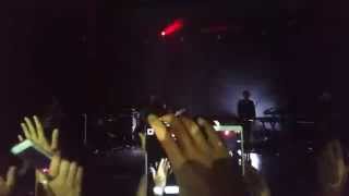 Ligabue il sale della terra sydney