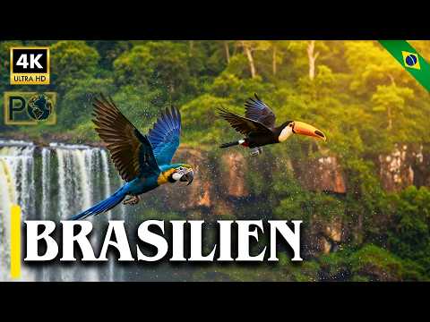 Brazil’s HIDDEN NATURAL WONDERS: 10 PLACES You Must DISCOVER! – 4K