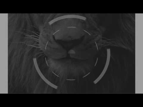 King Ital Rebel - They Don't Know