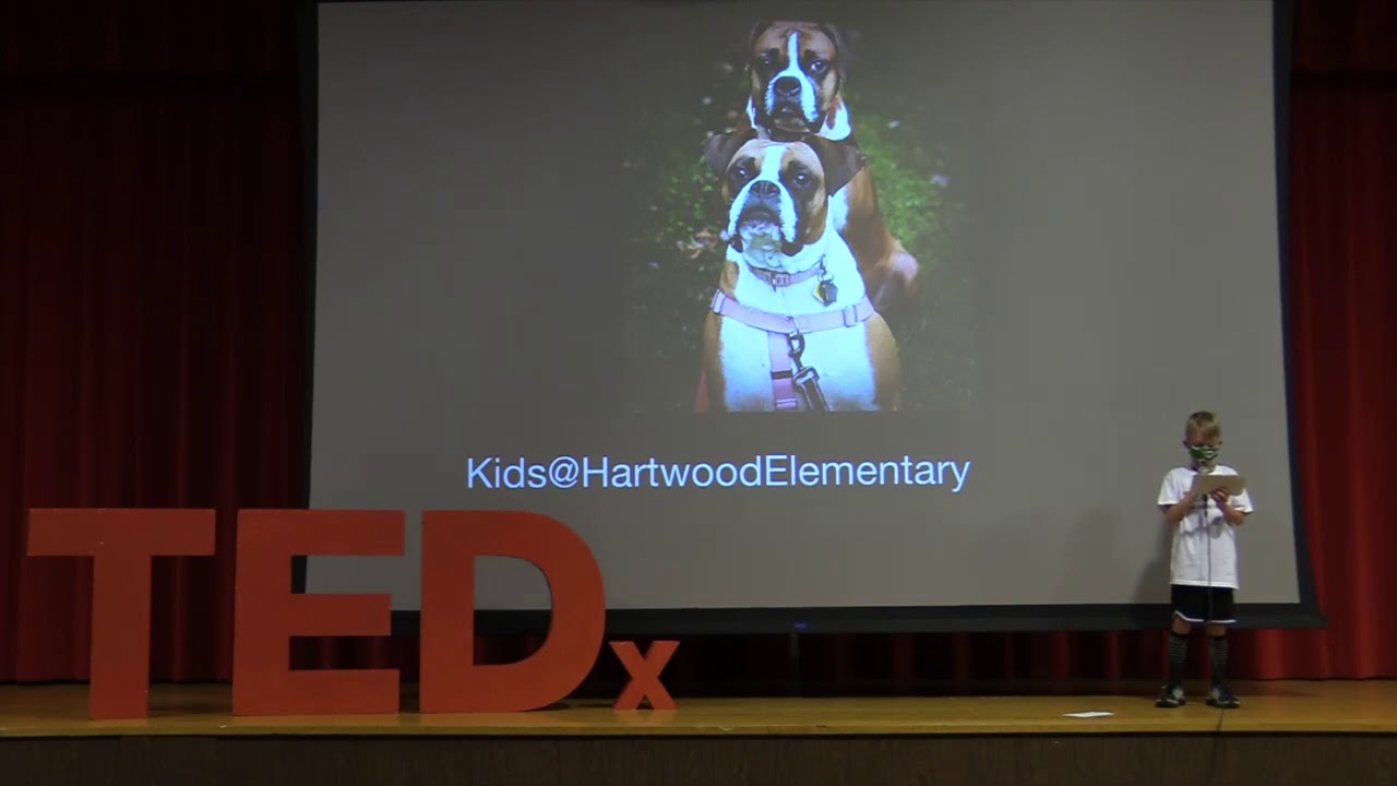 Adopt don't Shop | Gram Seymour | TEDxKids@HartwoodElementary