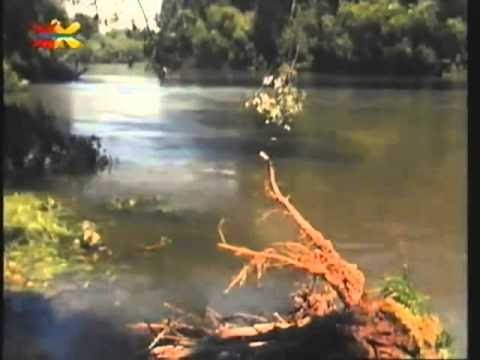 Mittendrin - In einem Wasserwerk/28.01.1989 - Folge 3