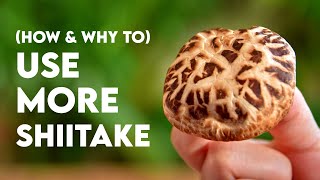 How to cook with Dried Shiitake (3 recipes)