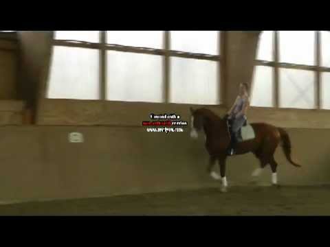 Londontime-Grandseigneur.avi