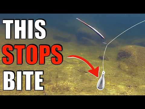 SHOCKING: DROPSHOT Weight Does What?? INCREDIBLE Underwater Footage Reveals Hidden Secret