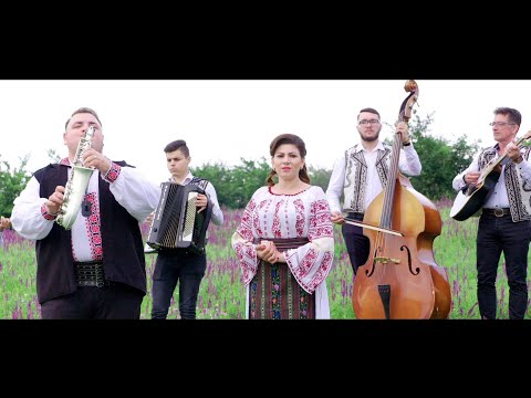 Aurelia Caprita - Of Strainatate