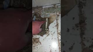 sincan su tesisat su kaçak tespiti su sızıntı tespiti