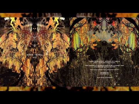 DEISON / KK NULL "Into" [Full Album]