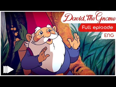 David the Gnome - 6 - Wedding | Full Episode |