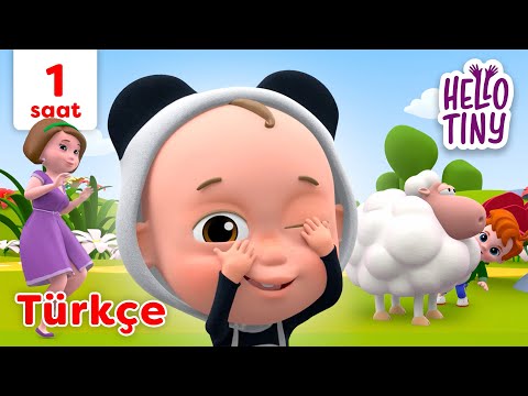 En iyi aile şarkıları! | 1 saat | Bebekler için şarkılar | Hello Tiny Türkçe