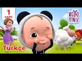 En Iyi Aile şarkıları 1 Saat Bebekler Için şarkılar Hello Tiny Türkçe