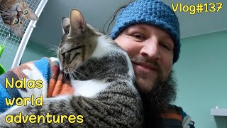 😻😻😻😻 Vlog #137