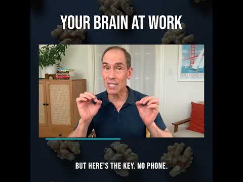 Unleashing the Power of Your Brain at Work - YouTube