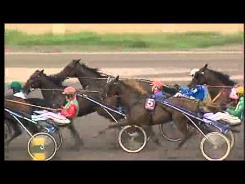 Svenskt Trav Derby 2008 -Sahara Dynamite
