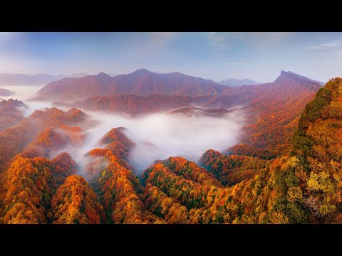 Live: Enjoy the enchanting red leaves in southwest China's Bazhong