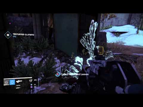 Destiny New Patrol. Enigma