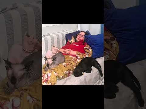 🌈🐾 Un’adozione particolare, diversa da tutte le altre