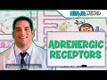 Neurology | Adrenergic Receptors