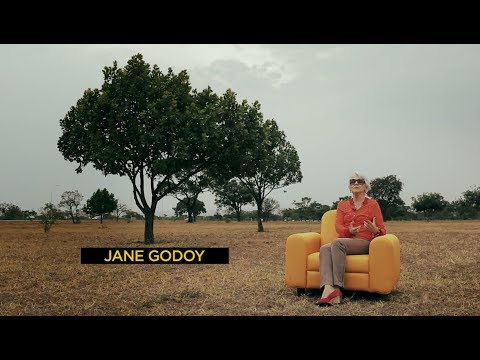 Jane Godoy No Sofá Amarelo