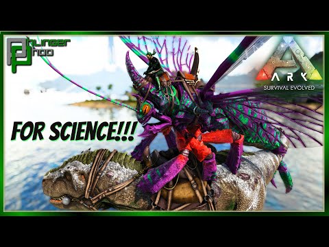 Rhyniognatha - The Science of the Perfect Tame! oh and Rhynignatha Taming Pen!