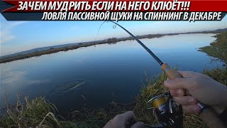 Татфиш рыбалка коротко о клеве декабрь 2020