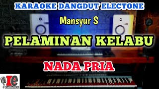 Download lagu PELAMINAN KELABU KARAOKE DANGDUT NADA COWOK PRIA - DE KARAOKE mp3