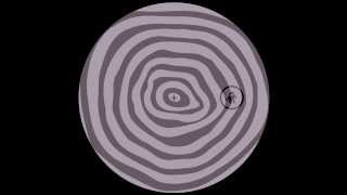 Erika - Early Warning Starfield (Donato Dozzy Spiral Synthi Mix)