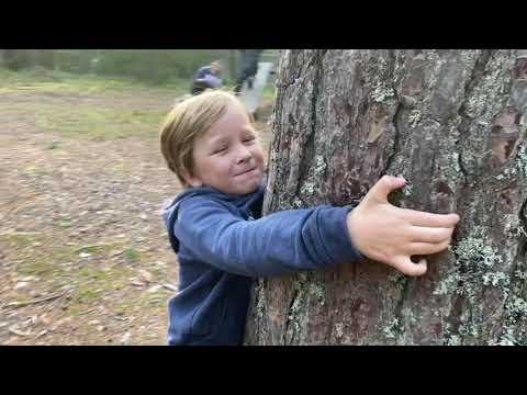 Tästä Hyvaa Seuraa -  Metsäretki