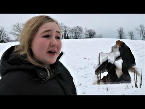 An Accident with my Horse!