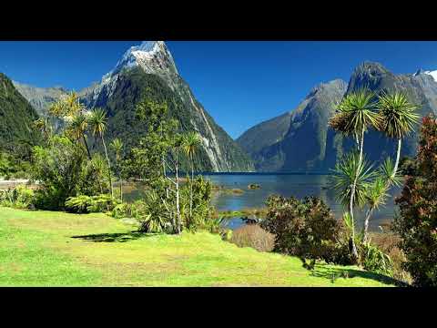 Elior x eaup – Cruisin' || Lofi Music || For Relaxing , Sleeping and Studying