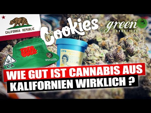 Cannabis Culture in California | GreenConnection in San Francisco | California Tour pt.1
