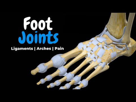 Ankle & Foot Joints (Talocrural, Subtalar, Tarsal & Toe) | Ligaments & Injuries