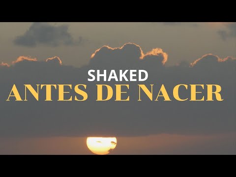 Antes de Nacer (Video Lyric) - Shaked