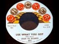 Sugar Pie Desanto - Use what you got