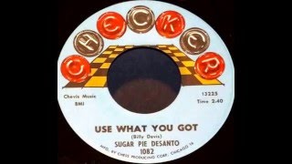 Sugar Pie Desanto - Use what you got