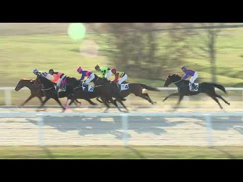 2019.11.24. 07. futam - HAVANNA HENDIKEP (III.o.) (szintetikus pálya)