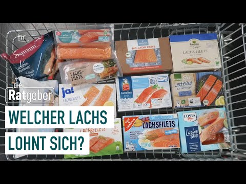 Fisch im Test – Lecker Lachs oder lieber nicht? | Die Ratgeber