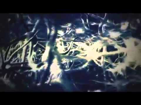 Lizard Madness _-_ Reptile