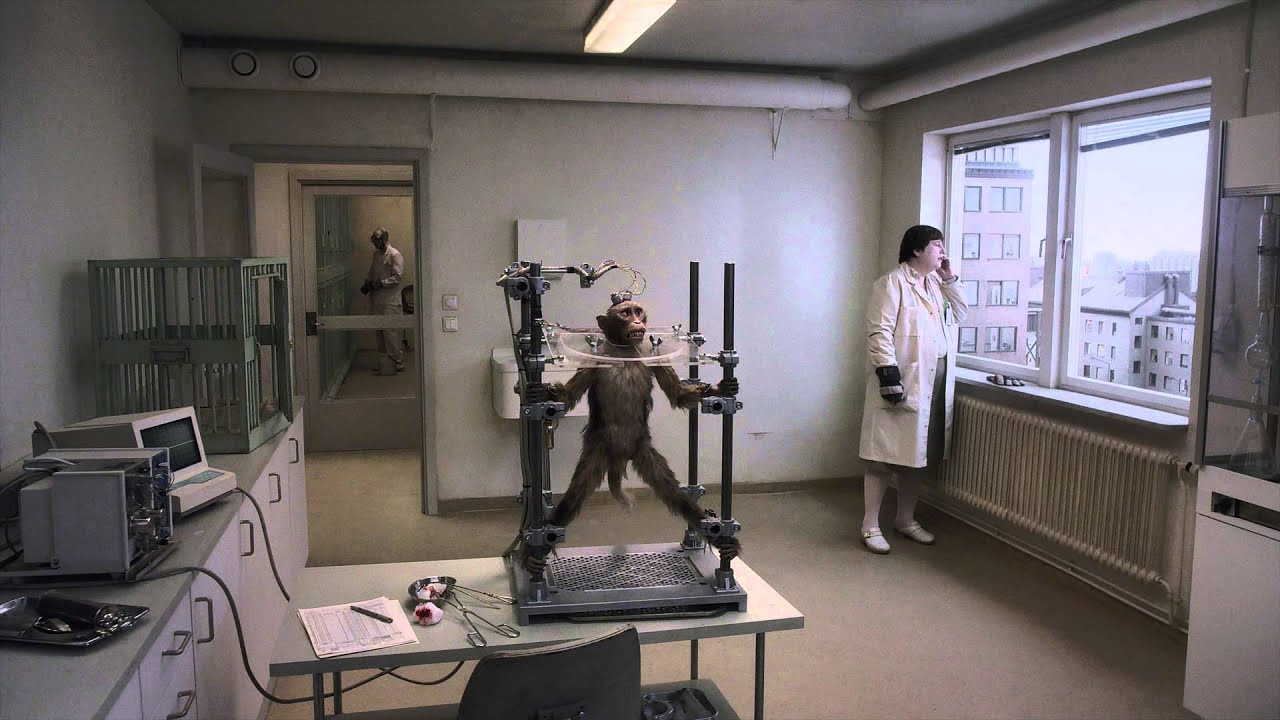 Eine Taube sitzt auf einem Zweig und denkt über das Leben nach