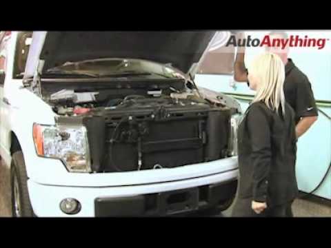 Install the AVS Bugflector II - AutoAnything How-To