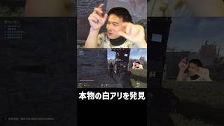 ”ホンモノ”の白アリ発見