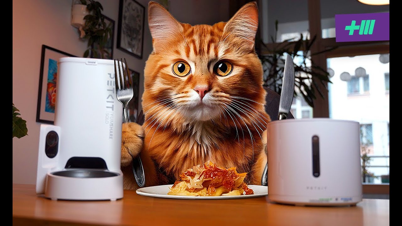 Годівниця для тварин PetKit Yumshare Solo + камера Годівниця для тварин PetKit Yumshare Solo + камера